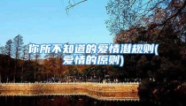 你所不知道的爱情潜规则(爱情的原则)