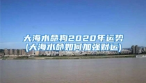 大海水命狗2020年运势(大海水命如何加强财运)