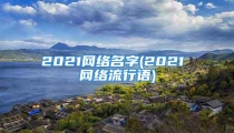 2021网络名字(2021 网络流行语)