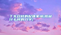 丁亥日柱的配偶家境(揭秘什么样的八字)