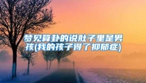 梦见算卦的说肚子里是男孩(我的孩子得了抑郁症)