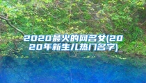2020最火的网名女(2020年新生儿热门名字)