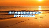 沙中土和松柏木相克吗?沙中土遇松柏木