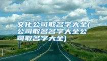 文化公司取名字大全(公司取名名字大全公司取名字大全)