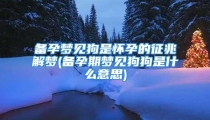备孕梦见狗是怀孕的征兆解梦(备孕期梦见狗狗是什么意思)