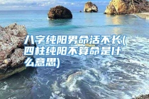 八字纯阳男命活不长(四柱纯阳不算命是什么意思)