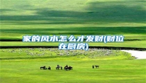 家的风水怎么才发财(财位在厨房)