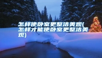 怎样使卧室更整洁美观(怎样才能使卧室更整洁美观)