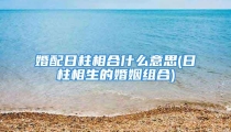 婚配日柱相合什么意思(日柱相生的婚姻组合)