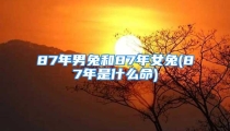 87年男兔和87年女兔(87年是什么命)