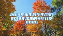 2013年出生的今年几岁(2013年出生的今年几岁2021)