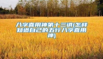 八字喜用神第十三讲(怎样知道自己的五行八字喜用神)