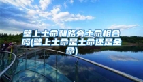 壁上土命和路旁土命相合吗(壁上土命是土命还是金命)