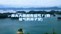 鼻头大面相有福气？(有福气的鼻子女)