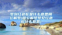 梦到红色蛇是什么意思周公解梦(周公解梦梦见红色蛇什么意思)