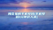 梅花易数手机号码(手机号码1分钟识人术)