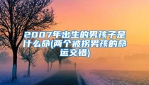 2007年出生的男孩子是什么命(两个被拐男孩的命运交错)