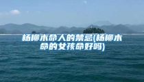 杨柳木命人的禁忌(杨柳木命的女孩命好吗)