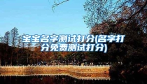 宝宝名字测试打分(名字打分免费测试打分)