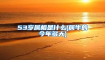 53岁属相是什么(属牛的今年多大)