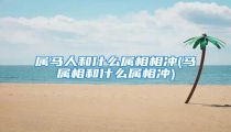 属马人和什么属相相冲(马属相和什么属相冲)
