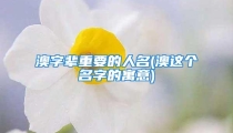 澳字辈重要的人名(澳这个名字的寓意)