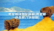男女姻缘婚配属相(男女算命生辰八字婚姻)
