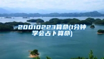 20010223算命(1分钟学会占卜算命)