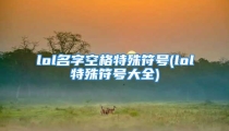 lol名字空格特殊符号(lol特殊符号大全)