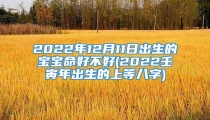 2022年12月11日出生的宝宝命好不好(2022壬寅年出生的上等八字)