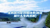生肖属性配对姻缘表(桃花是什么生肖求解)