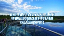 85年的牛在2021年下半年的运势(2021年11月26日运程解析)