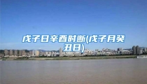 戊子日辛酉时断(戊子月癸丑日)