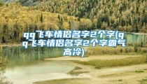 qq飞车情侣名字2个字(qq飞车情侣名字2个字霸气高冷)