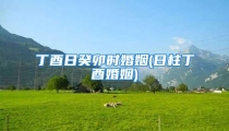 丁酉日癸卯时婚姻(日柱丁酉婚姻)