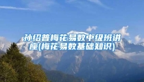 孙绍普梅花易数中级班讲座(梅花易数基础知识)