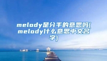 melody是分手的意思吗(melody什么意思中文名字)