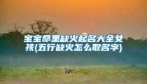 宝宝命里缺火起名大全女孩(五行缺火怎么取名字)
