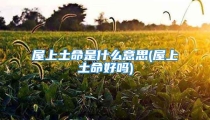 屋上土命是什么意思(屋上土命好吗)