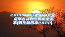 2022年男孩取名字大全 虎年吉祥如意男宝宝名字(男孩起名字2022)