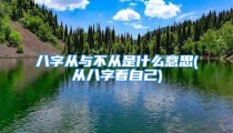 八字从与不从是什么意思(从八字看自己)