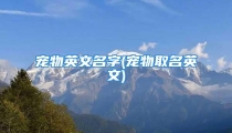 宠物英文名字(宠物取名英文)