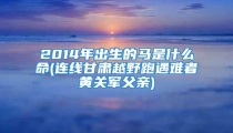 2014年出生的马是什么命(连线甘肃越野跑遇难者黄关军父亲)