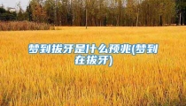 梦到拔牙是什么预兆(梦到在拔牙)