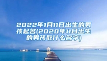 2022年1月11日出生的男孩起名(2020年11月出生的男孩取什么名字)