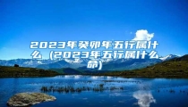 2023年癸卯年五行属什么 (2023年五行属什么命)