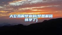 大公鸡解梦查码(梦图解码怀孕了)