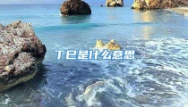 丁巳是什么意思