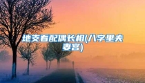 地支看配偶长相(八字里夫妻宫)