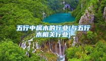 五行中属木的行业(与五行木相关行业)